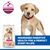 Hill's Science Plan Perfect Digestion Puppy Large csirke & barna rizs