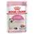 Royal Canin Kitten, Katzenwelpen bis zum 12. Monat, kleine Stückchen in Gelee, 85 g Packung.