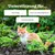 Zesty Paws Cat Urinary Care Paste