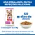 Hill's Science Plan Adult 1-6 Small & Mini com cordeiro e arroz