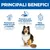 Hill's Science Plan Dog Sensitive Stomach & Skin Pollo umido cane Hill's Science Plan Dog Sensitive Stomach & Skin Pollo umido cane