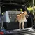 Hond in kunststof transportbox met metalen traliedeur, geplaatst in de kofferbak van een auto. Box heeft grijze bovenkant en zwarte onderkant, rode draaiknop zichtbaar op deur.