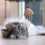 Beeztees Catnip Cat Fishing Rod Octopus Tako