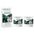 "Explore The Vast Forests" Weight Management