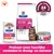 Hill's Prescription Diet Gastrointestinal Biome kattenvoer, verkrijgbaar als droog- en natvoer. Gezonde verlichting binnen 24 uur, klinisch bewezen. Hill's Prescription Diet Gastrointestinal Biome kattenvoer, verkrijgbaar als droog- en natvoer. Gezonde verlichting binnen 24 uur, klinisch bewezen.