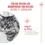 Royal Canin Ageing 11+ in Gelee