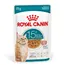 Royal Canin Ageing 15+ в соусе - 24 x 85 г
