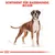 Sortiment für Rassehunde: Boxer. Illustration eines Boxers mit Massangaben.