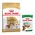 Cavalier King Charles Adult (7.5kg) + Mini Adult in Gravy (12 x 85g)