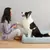 Petkit Four Seasons Pet Bed – Light Blue