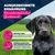 Eukanuba Puppy Reich an Rind mit Kürbis