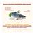 Almo Nature HFC Adult Sterilized Lachs