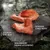 Wolf of Wilderness Premium Schweineohren "Strong Lands" - 3 x 10 Stück Wolf of Wilderness Premium Schweineohren "Strong Lands" - 3 x 10 Stück