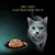 Sparpaket Sheba Filets 36 x 60 g