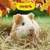 Gimbi Mother Nature Guinea Pig Pellet Gimbi Mother Nature Guinea Pig Pellet