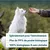 Spécialement conçu pour l'entraînement, plus de 99 % de poulet bio, 100 % biologique et sans céréales. Spécialement conçu pour l'entraînement, plus de 99 % de poulet bio, 100 % biologique et sans céréales.