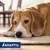 ADAPTIL® Calm-halsbånd for hunder