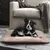 Coussin pour chien beige avec motif patte, chien noir et blanc allongé dessus, présenté devant un fauteuil dans un salon.