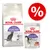 Zestaw Royal Canin Sterilised 3,5 / 4 kg + Royal Canin Sterilised w sosie, 12 x 85 g - Sterilised +7, 3,5 kg + Ageing +12 w sosie
