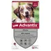 Advantix® chien moyen, de 10 kg à 25 kg - 4 mois de protection (4 pipettes)