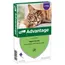Advantage® 80 voor Katten vanaf 4 kg - Dubbelpak: 2 x 4 pipetten - NL
