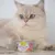GimCat ShinyCat kattenvoer 6 x 70 g