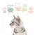 Testi visibili: Cibo puro, Perfetto equilibrio proteine-grassi, Benessere degli animali, Per un pianeta migliore, Gatti sani e felici. Immagine di gatto grigio.