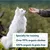 Yarrah Organic Oven-Dried Training Snacks - dog snacks Yarrah Organic Oven-Dried Training Snacks - dog snacks
