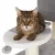 Braun getigerte Katze liegt auf einer gepolsterten Plattform eines Kratzbaums mit Spielball an Schnur.