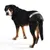 Dog wearing black dog nappy with white stripe, suitable for incontinence or hygiene.