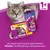 Whiskas Sticks au saumon x6 et boîte Whiskas Geflügel Ausw. en gelée x12, pour chats 1+ an, texte en allemand sur l’image.