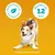 Sparpaket Pedigree Leckerbissen: Kau-Happen Huhn & Ente & Mini-Happen Käse & Rind Sparpaket Pedigree Leckerbissen: Kau-Happen Huhn & Ente & Mini-Happen Käse & Rind