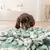 Trixie Sniffing Carpet pour chien et chat - L 50 × l 34 cm Trixie Sniffing Carpet pour chien et chat - L 50 × l 34 cm