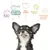 Reines Futter, perfektes Eiweiß-Fett-Verhältnis, Tierschutz, bessere Welt, glückliche gesunde Hunde. Illustration mit Hund und Symbolen.