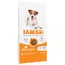 IAMS Advanced Nutrition Adult Small & Medium Dog с курицей - 2 x 12 кг