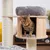 Cat tree made of wood with sisal posts, grey lying cushion and cave. Bengal cat sitting in the cave.