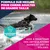 Eukanuba Premium Nutrition Adult Large et Giant Breed au poulet
