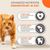 IAMS Advanced Nutrition Senior droogvoer voor katten 7+ met tonijn Kattenvoer