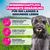 Eukanuba Premium Nutrition Puppy Small Breed Huhn