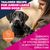 Eukanuba Premium Nutrition Junior Large & Giant Breed kana