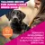 Eukanuba Premium Nutrition Junior Large & Giant Breed kana