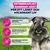 Eukanuba Premium Nutrition Adult Small Breed Chicken