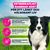 Eukanuba Premium Nutrition Adult Medium Breed Chicken