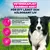 Eukanuba Premium Nutrition Adult Medium Breed Chicken