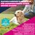 Eukanuba Premium Nutrition Adult Large & Giant Breed Lamm & Reis