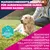 Eukanuba Premium Nutrition Adult Large & Giant Breed jagnjetina in riž