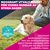 Eukanuba Premium Nutrition Adult Large & Giant Breed Lamb & Rice