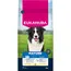 Eukanuba Premium Nutrition Mature Medium Breed piletina - 2 x 15 kg