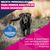 Eukanuba Premium Nutrition Mature Large & Giant Breed pollo