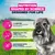Eukanuba Premium Nutrition Senior Small Breed Κοτόπουλο